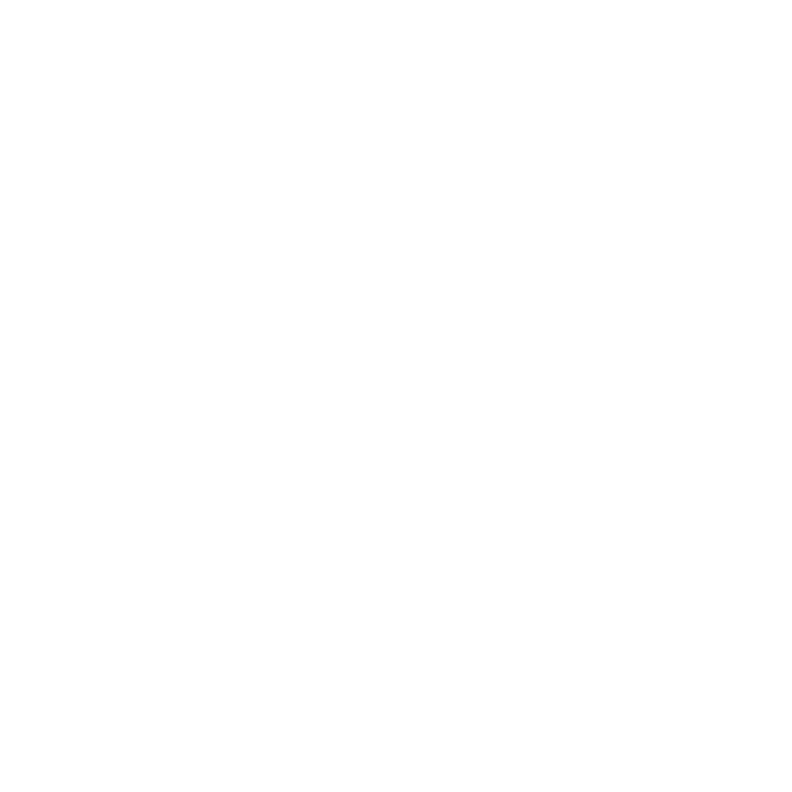 Logo Stéphane Antuna Initiales Blanc Fond Transparent